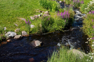 Shallow stream in sunny public park, Oulu Finland