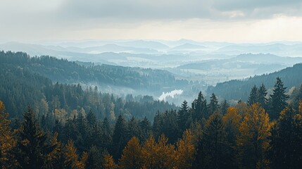 Obraz premium A vast vista of misty mountains and forests.