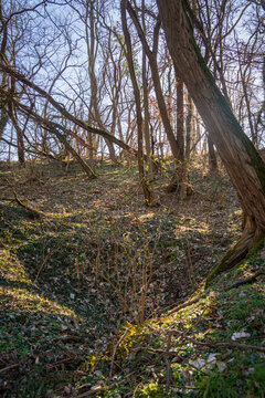 Zhukov&rsquo;s Command Post Bunker at Seelow Heights, Brandenburg, Germany