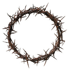 Symbolic crown of thorns representing sacrifice, pain, and religious devotion, perfect for historical or spiritual narratives.