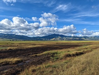 Panoramic view of a rural landscape (2)