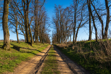 Abandoned World War II Facilities in Brandenburg, Germany