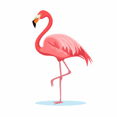 Fototapeta premium Vibrant flamingo illustration: standing gracefully with pink plumage on a single leg