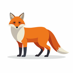 Fototapeta premium Cartoon Illustration of a Fox Standing Alertly on a White Background with Detailed Fur