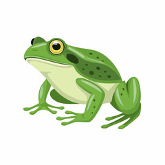 Fototapeta premium Cartoon Green Frog with Yellow Eyes and Dark Spots Sitting Isolated on White Background