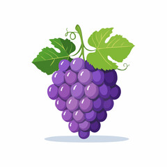 Illustrative vibrant purple grapes with lush green leaves on a clean white background