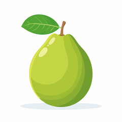 Vibrant illustration of a fresh green guava fruit with a single leaf attached