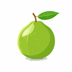 Illustrative guava artwork displaying a ripe fruit with vibrant green hue and leaf