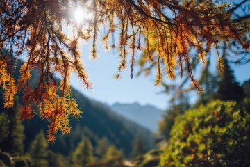 Autumn foliage framing a mountain vista