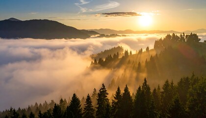 Sunlit mountaintop forest shrouded in morning mist, golden hour