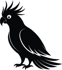 Fototapeta premium Stylish Black Cockatoo Silhouette - Crested Parrot Bird Vector Icon