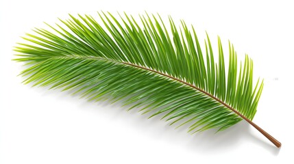 Obraz premium Close-up view of a vibrant palm frond.