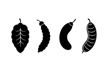 set of Tamarind vector silhouette illustration isolated on white background