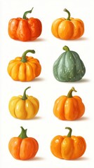 Colorful arrangement of various pumpkins showcasing different shapes and sizes for seasonal decoration