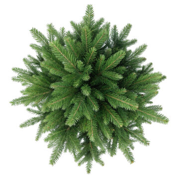 3d overhead view of a realistic christmas tree