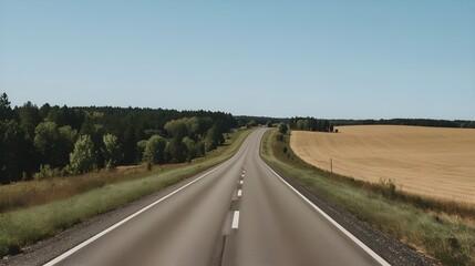 Fototapeta premium Aerial view of a straight road through lush greenery, symbolizing harmony between transport and nature—ideal for sustainability, World Environment Day, and eco-friendly themes.