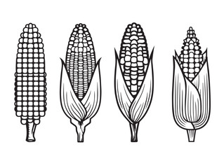 Organic corn icons designed in clean vector
