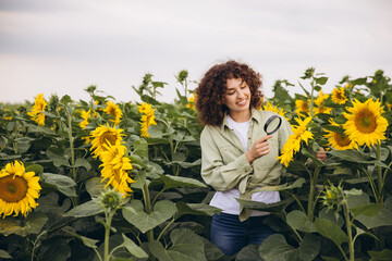Agronomist inspecting sunflowers with magnifying glass in a field