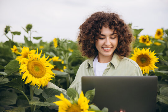 Agronomist using laptop in sunflower field analyzing harvest growth