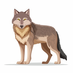 Fototapeta premium Majestic Wolf Illustration: Standing Tall with Focused Yellow Eyes and Detailed Fur