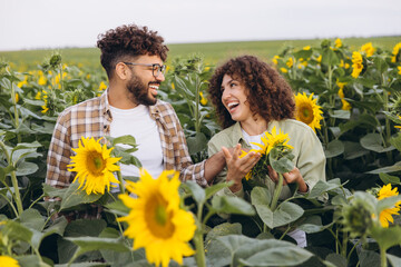 Agronomists examining sunflowers in a field smiling and talking