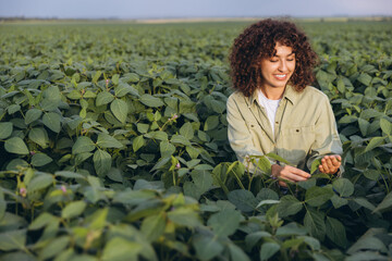 Agronomist woman inspecting soybean plants in cultivated field
