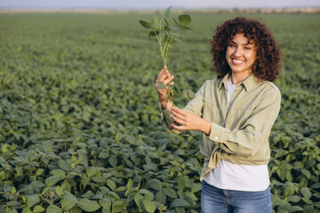 Agronomist holding soybean plant in cultivated field
