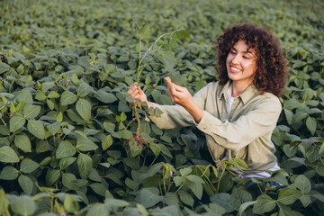 Female agronomist examining soybean plant in cultivated field