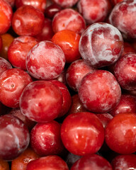 Close-up of fresh ripe red plums with natural bloom and rich texture. Ideal for food, harvest, and healthy lifestyle themes.