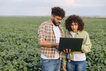 Interracial agronomists team working with laptop in soybean field