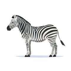 Obraz premium Striking Zebra Portrait: A Captivating Illustration of African Wildlife in Bold Black and White