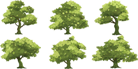 A beautiful collection of green trees and lush foliage in a summer forest, perfect for a natural landscape design
