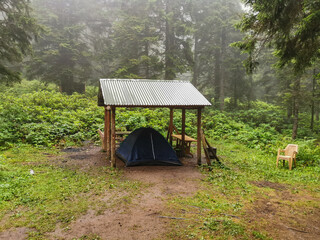Tent Under Shelter in Misty Forest Camping Area