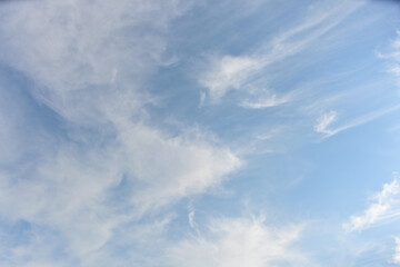 Beautiful morning summer sky above.