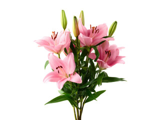 Beautiful pink lilies bouquet isolated black background, Isolated On White Background, Png Transparent © ArtWorld