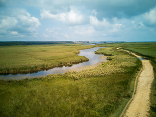 Scenic River Meandering Through Lush Green Wetlands Under Cloudy Sky