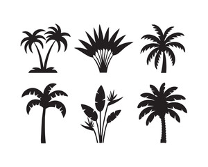 Black and white silhouettes of tropical plants and palm trees nature