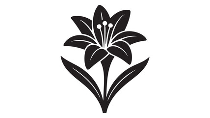 Black and white stylized lily flower with leaves and stamen illustration