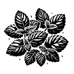Mint Leaf Cluster SVG | Fresh Herbal Silhouette for Tea & Food Design