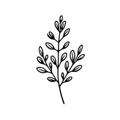 Thyme Twig Line Art SVG | Elegant Herbal Outline in Black & White