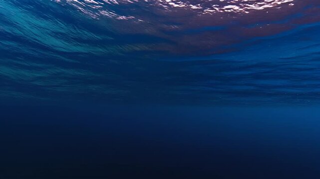 水中から見た景色