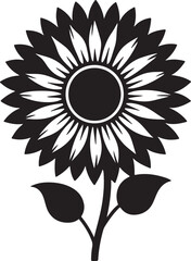 sunflower silhouette, black and white silhouette, vector and illustration