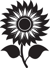 sunflower silhouette, black and white silhouette, vector and illustration