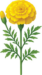 Marigold with Bud and Leaves