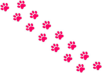 Easter Bunny Footprint