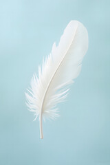 A Floating White Feather