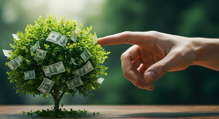 Money Tree with Hand Pointing Financial Growth Concept.