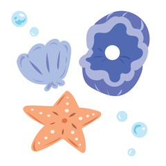 Blue purple sea shells and orange starfish illustration set bundle isolated on square white background.