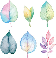 Watercolor Vector Set of Colorful Leaves