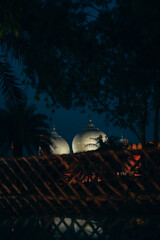 Three glowing domes of Badshahi Mosque partially obscured by palm trees and shadows under the night...
